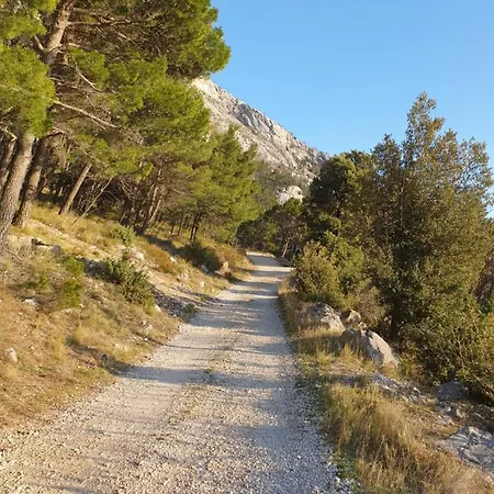Lidija